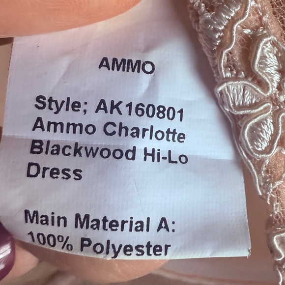 AMMO Charlotte Blackwood Lace Deep V Hi Low Structured Mini Dress Size Small - Picture 9 of 9